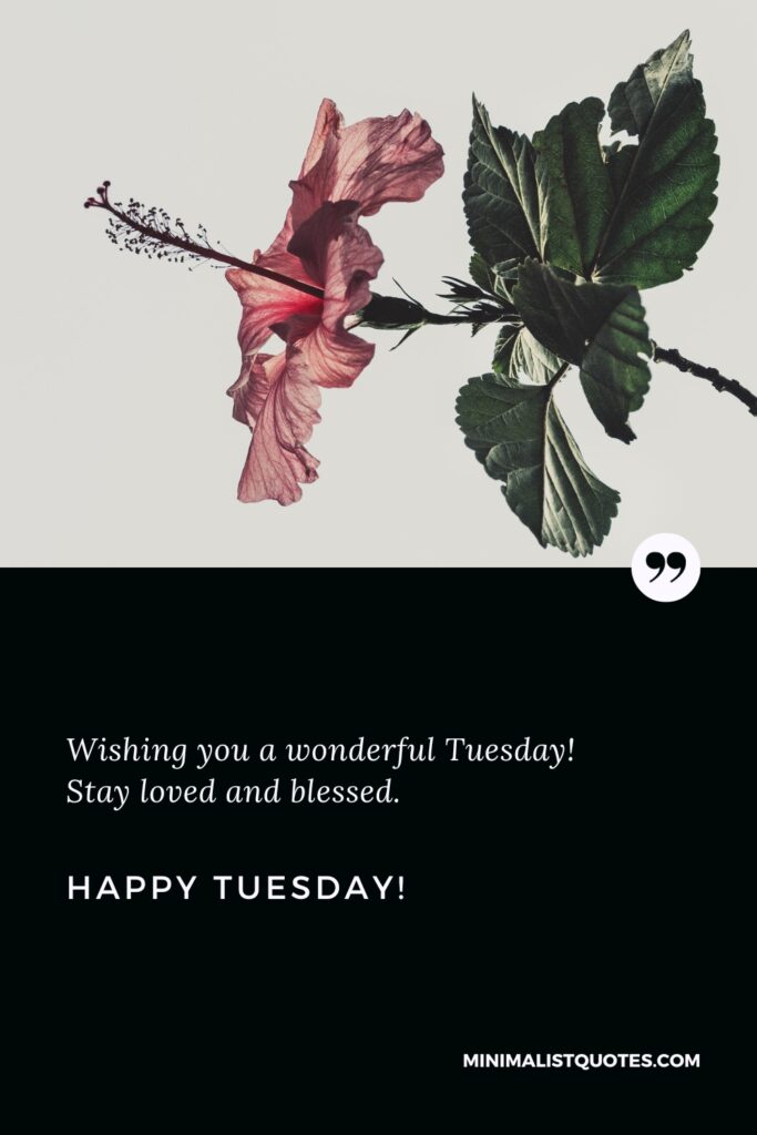 Happy Tuesday Greetings: Wishing you a wonderful Tuesday! Stay loved and blessed. Happy Tuesday!
