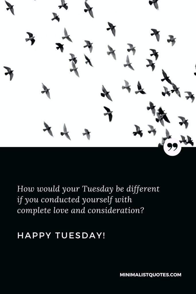 Happy Tuesday Images: How would your Tuesday be different if you conducted yourself with complete love and consideration? Happy Tuesday!
