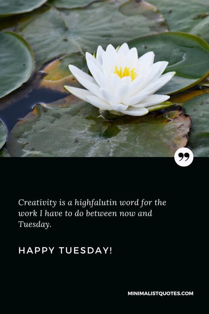 Happy Tuesday Images: Creativity is a highfalutin word for the work I have to do between now and Tuesday. Happy Tuesday!