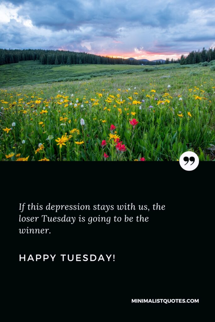 Happy Tuesday Images: If this depression stays with us, the loser Tuesday is going to be the winner. Happy Tuesday!