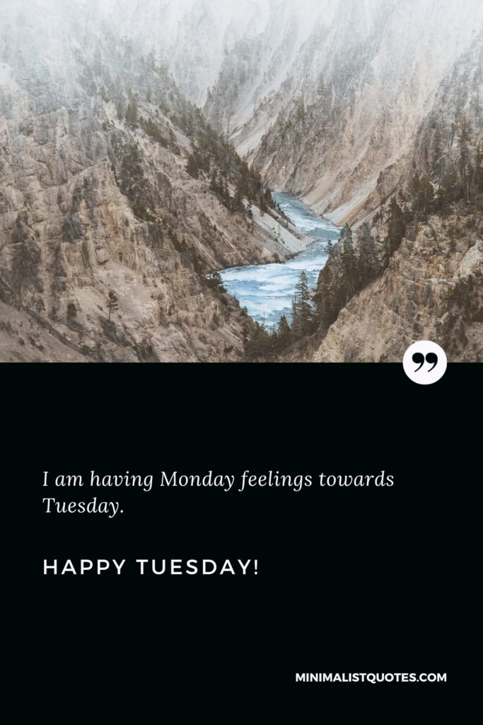 Happy Tuesday Images: I am having Monday feelings towards Tuesday. Happy Tuesday!