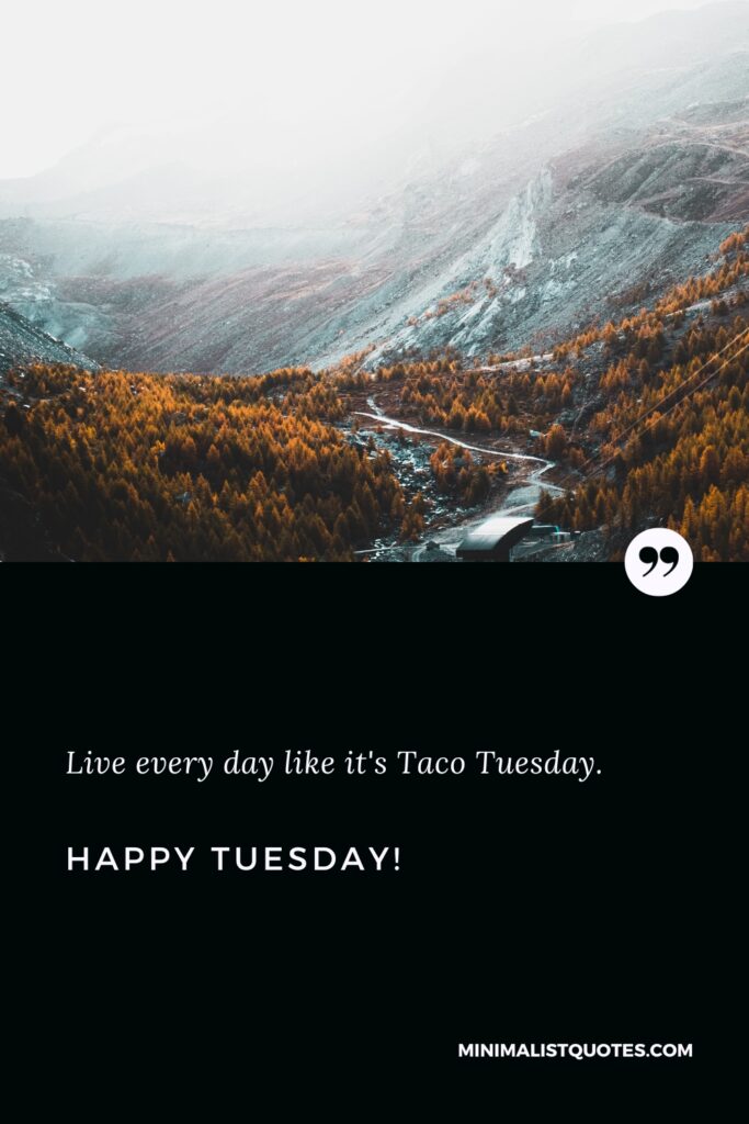 Happy Tuesday Images: Live every day like it's Taco Tuesday. Happy Tuesday!