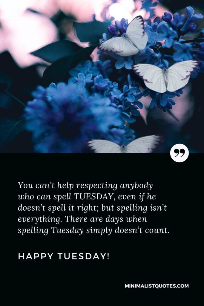 Happy Tuesday Images: You can’t help respecting anybody who can spell TUESDAY, even if he doesn’t spell it right; but spelling isn’t everything. There are days when spelling Tuesday simply doesn’t count. Happy Tuesday!