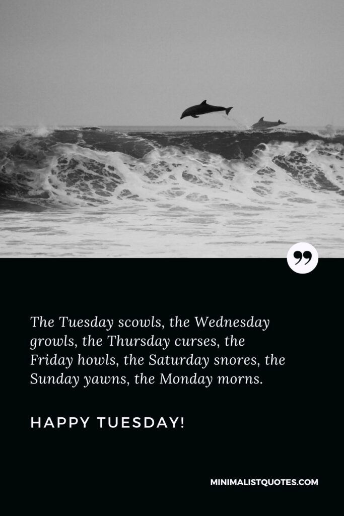 Happy Tuesday Images: The Tuesday scowls, the Wednesday growls, the Thursday curses, the Friday howls, the Saturday snores, the Sunday yawns, the Monday morns. Happy Tuesday!