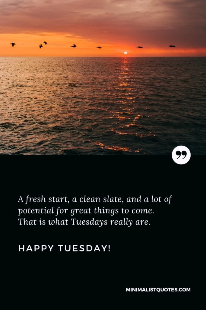 Happy Tuesday Positive Message: A fresh start, a clean slate, and a lot of potential for great things to come. That is what Tuesdays really are. Happy Tuesday!