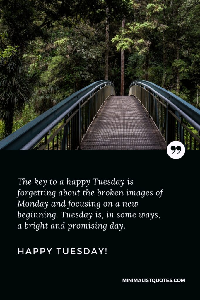 Happy Tuesday Positive Message: The key to a happy Tuesday is forgetting about the broken images of Monday and focusing on a new beginning. Tuesday is, in some ways, a bright and promising day. Happy Tuesday!