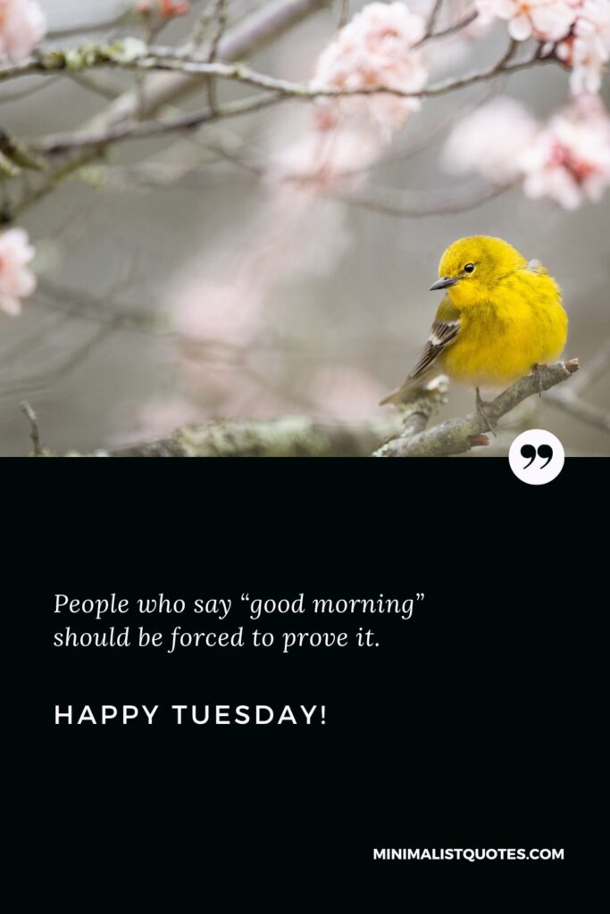 Happy Tuesday Positive Message: People who say “good morning” should be forced to prove it. Happy Tuesday!