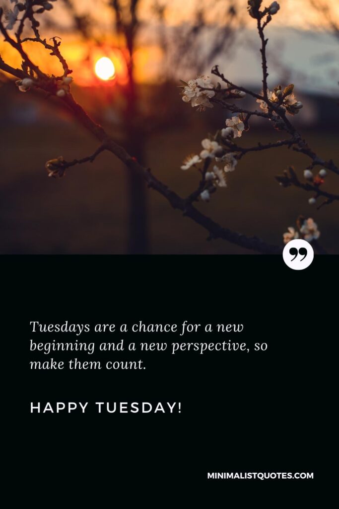 Happy Tuesday Quotes: Tuesdays are a chance for a new beginning and a new perspective, so make them count. Happy Tuesday!