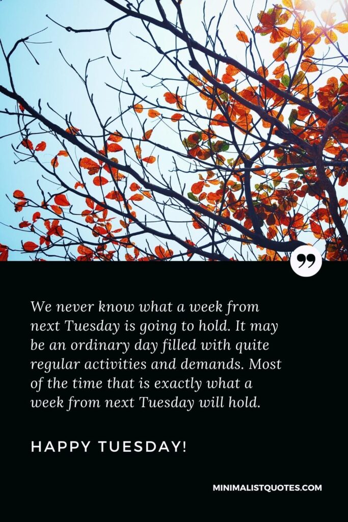 Happy Tuesday Wishes: We never know what a week from next Tuesday is going to hold. It may be an ordinary day filled with quite regular activities and demands. Most of the time that is exactly what a week from next Tuesday will hold. Happy Tuesday!
