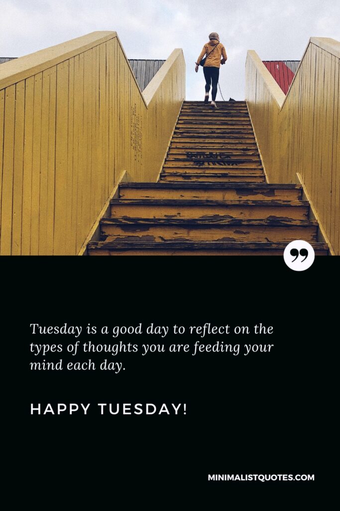 Happy Tuesday Quotes: Tuesday is a good day to reflect on the types of thoughts you are feeding your mind each day. Happy Tuesday!