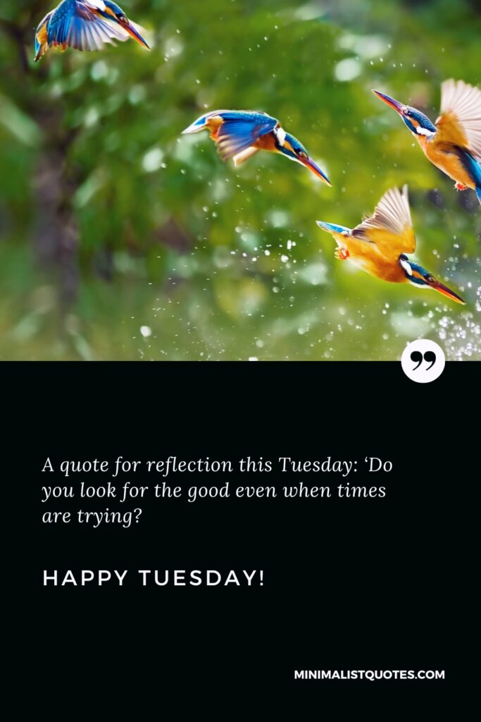 Happy Tuesday Quotes: A quote for reflection this Tuesday: ‘Do you look for the good even when times are trying? Happy Tuesday!