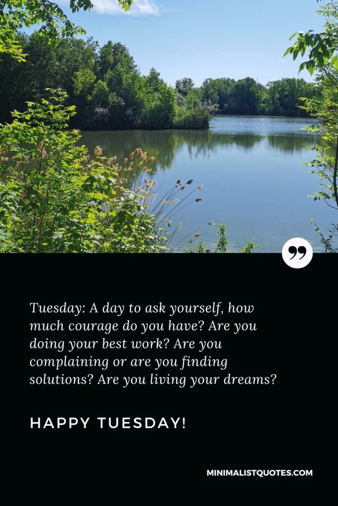 Happy Tuesday Quotes: Tuesday: Tuesday: A day to ask yourself, how much courage do you have? Are you doing your best work? Are you complaining or are you finding solutions? Are you living your dreams? Happy Tuesday!