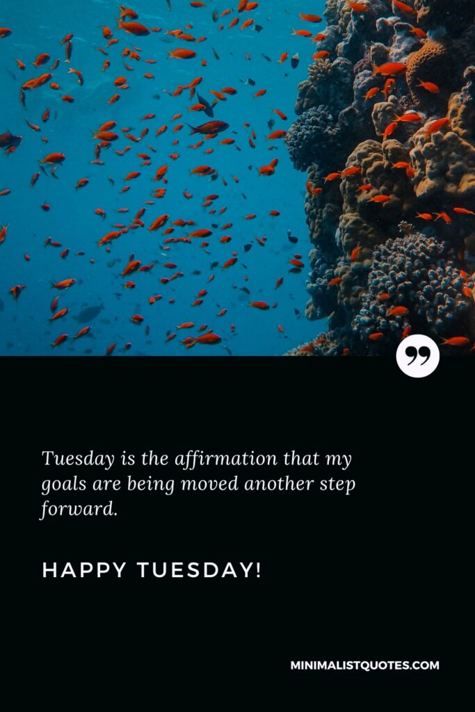 Happy Tuesday Quotes: Tuesday is the affirmation that my goals are being moved another step forward. Happy Tuesday!