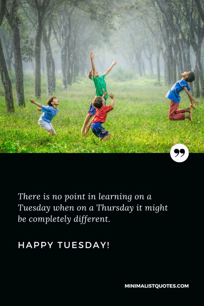 Happy Tuesday Quotes: There is no point in learning on a Tuesday when on a Thursday it might be completely different. Happy Tuesday!