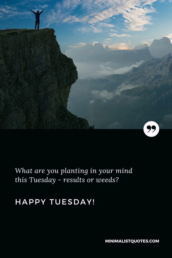 Happy Tuesday Quotes: What are you planting in your mind this Tuesday - results or weeds? Happy Tuesday!