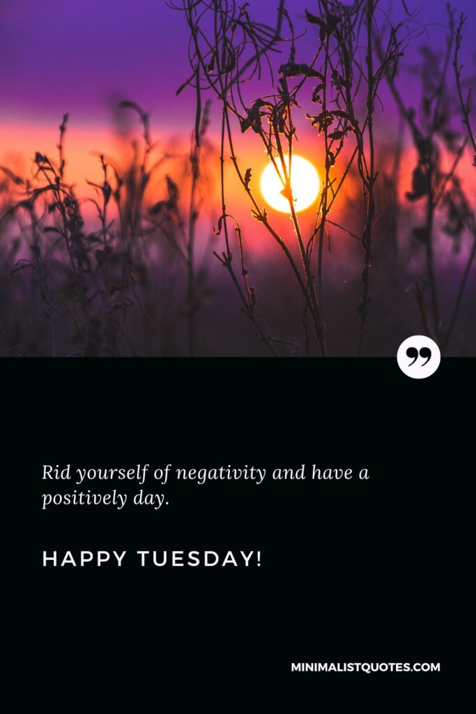 Happy Tuesday Quotes: Rid yourself of negativity and have a positively day. Happy Tuesday!