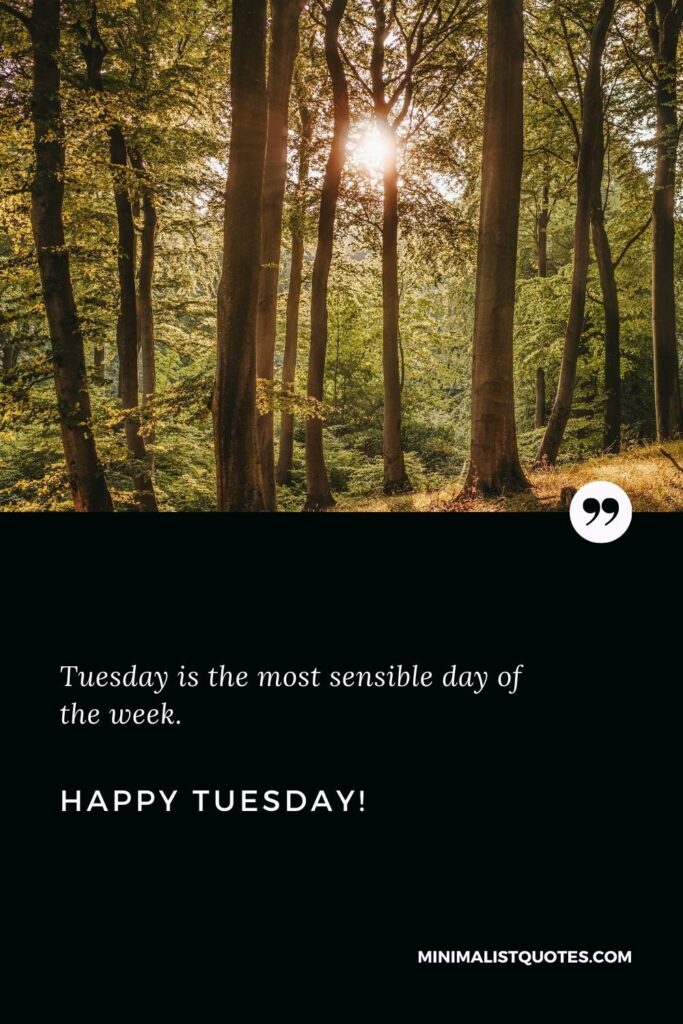 Happy Tuesday Quotes: Tuesday is the most sensible day of the week. Happy Tuesday!