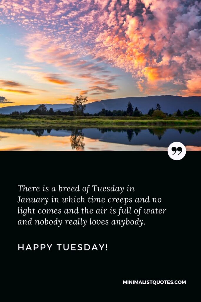 Happy Tuesday Quotes: There is a breed of Tuesday in January in which time creeps and no light comes and the air is full of water and nobody really loves anybody. Happy Tuesday!