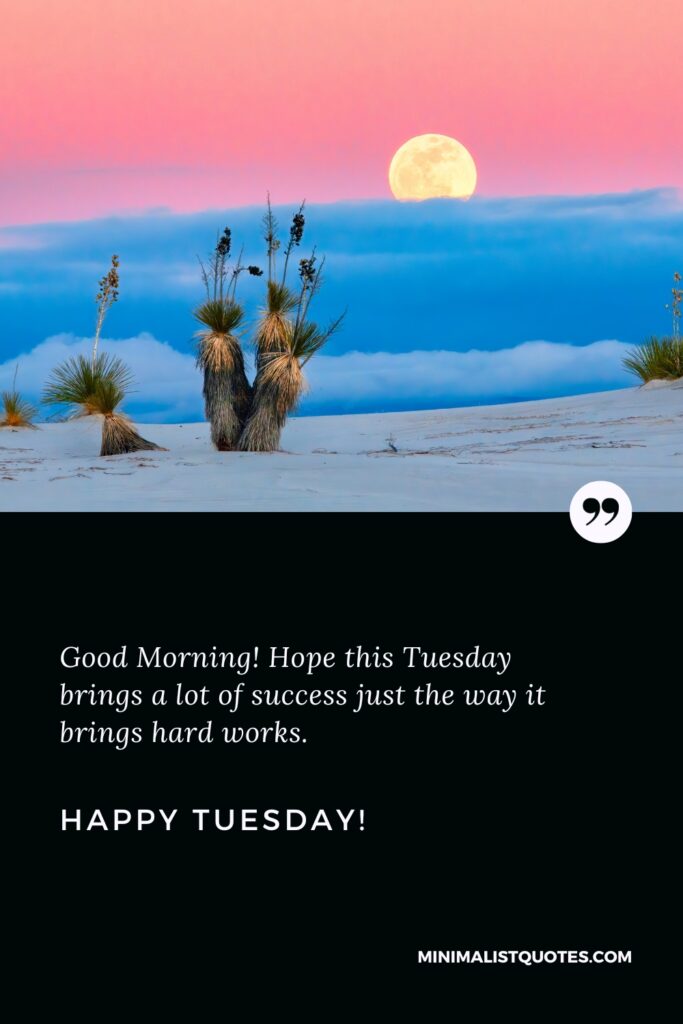 Happy Tuesday Thoughts: Good Morning! Hope this Tuesday brings a lot of success just the way it brings hard works. Happy Tuesday!