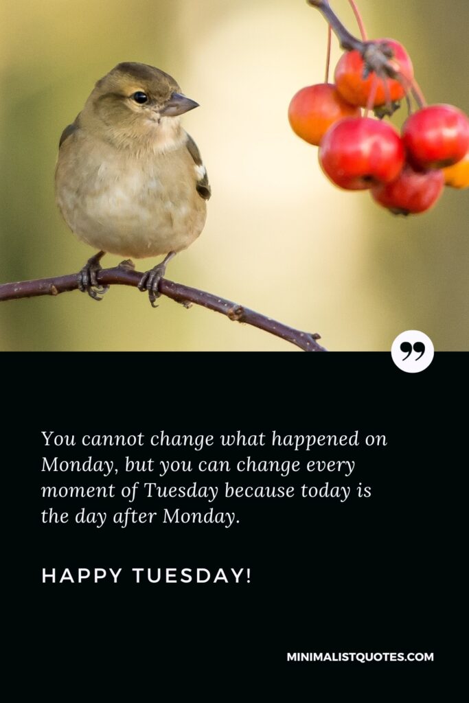 Happy Tuesday Thoughts: You cannot change what happened on Monday, but you can change every moment of Tuesday because today is the day after Monday. Happy Tuesday!