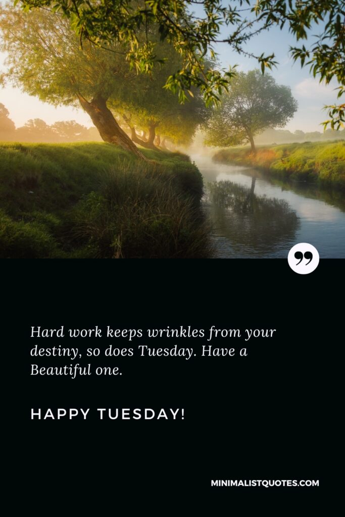 Happy Tuesday Thoughts: Hard work keeps wrinkles from your destiny, so does Tuesday. Have a Beautiful one. Happy Tuesday!
