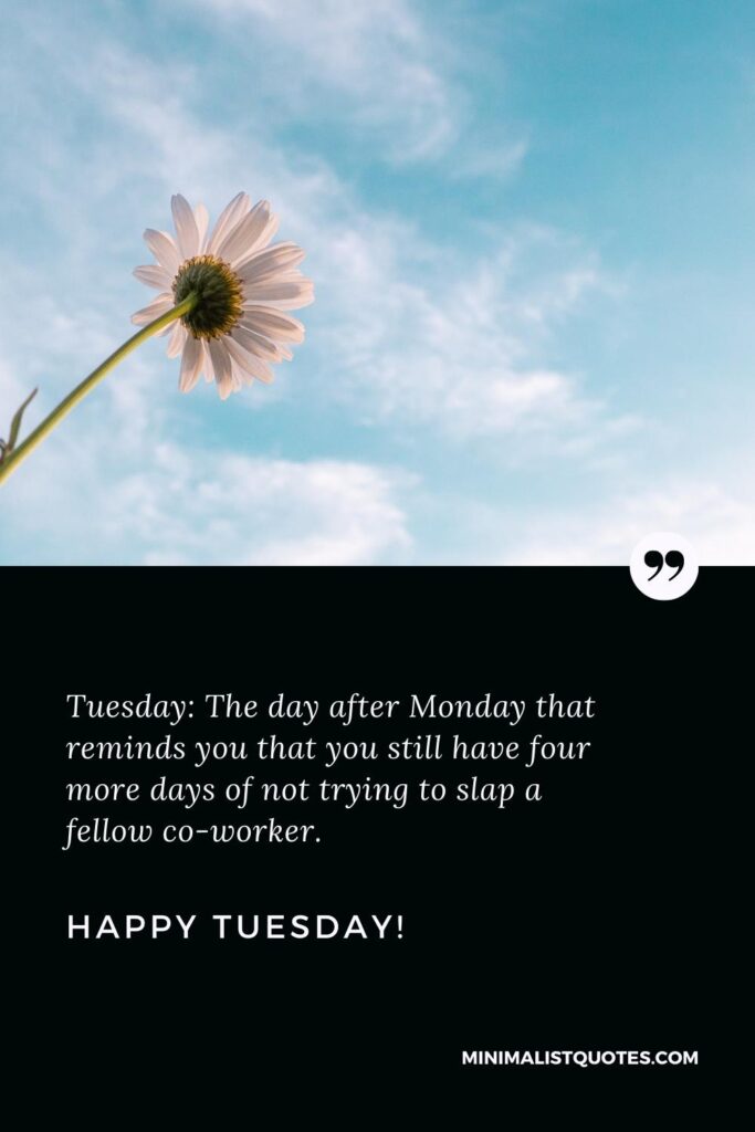 Happy Tuesday Thoughts: Tuesday: The day after Monday that reminds you that you still have four more days of not trying to slap a fellow co-worker. Happy Tuesday!