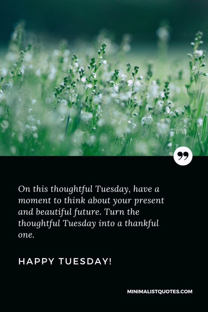 Happy Tuesday Thoughts: On this thoughtful Tuesday, have a moment to think about your present and beautiful future. Turn the thoughtful Tuesday into a thankful one. Happy Tuesday!