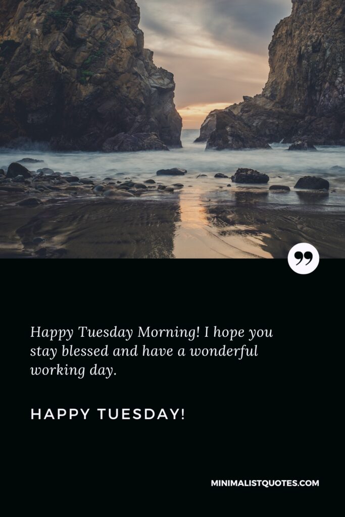 Happy Tuesday Thoughts: Happy Tuesday Morning! I hope you stay blessed and have a wonderful working day. Happy Tuesday!
