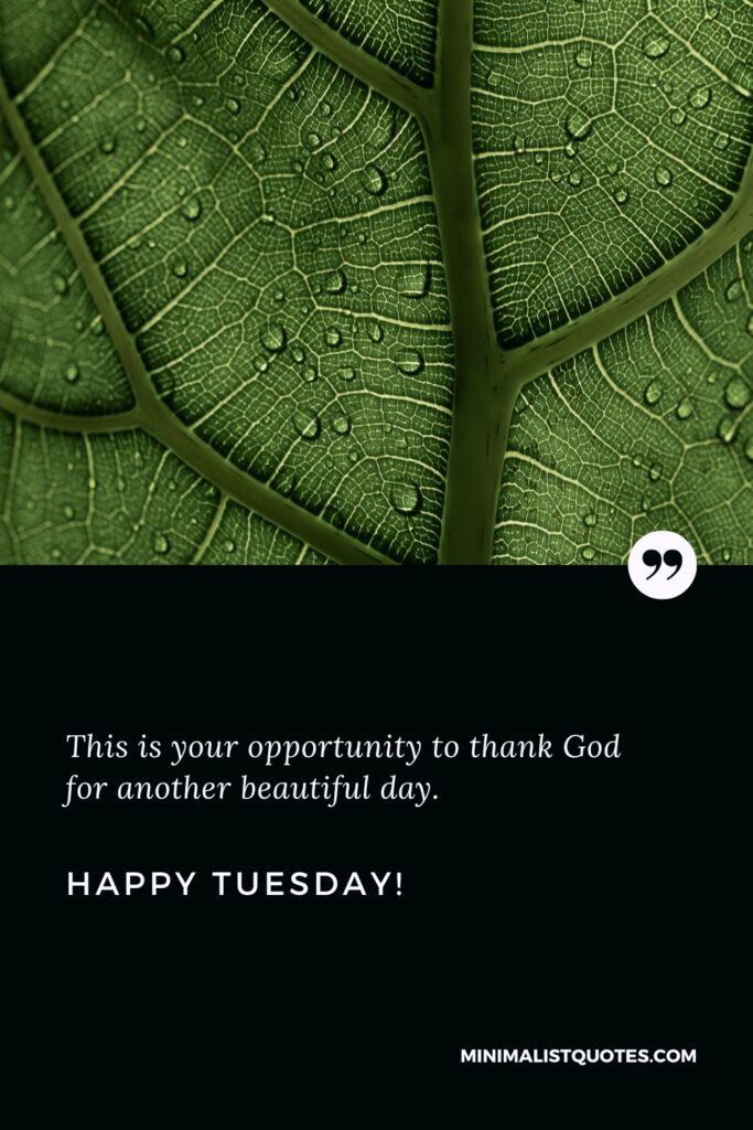 Happy Tuesday Thoughts: This is your opportunity to thank God for another beautiful day. Happy Tuesday!