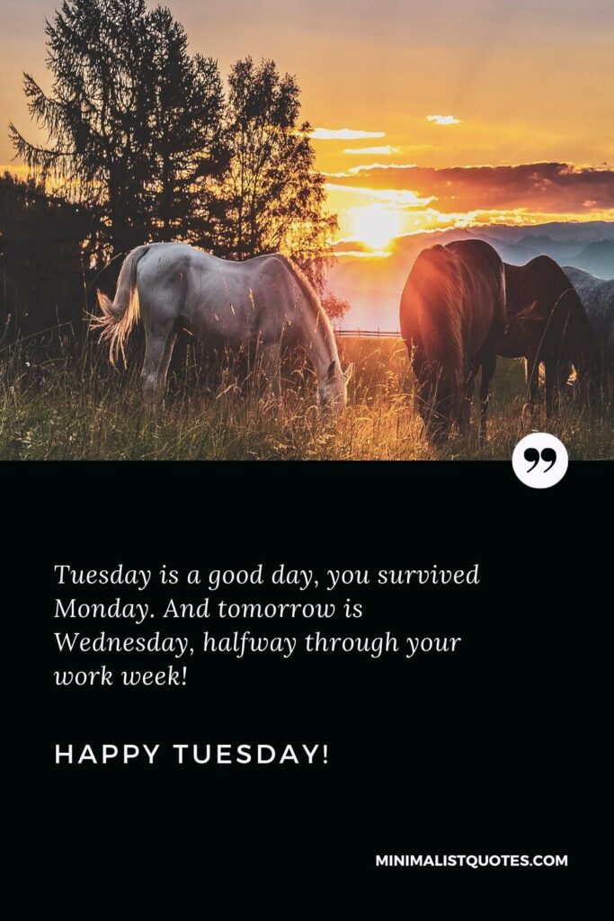 Happy Tuesday Thoughts: Tuesday is a good day, you survived Monday. And tomorrow is Wednesday, halfway through your work week! Happy Tuesday!