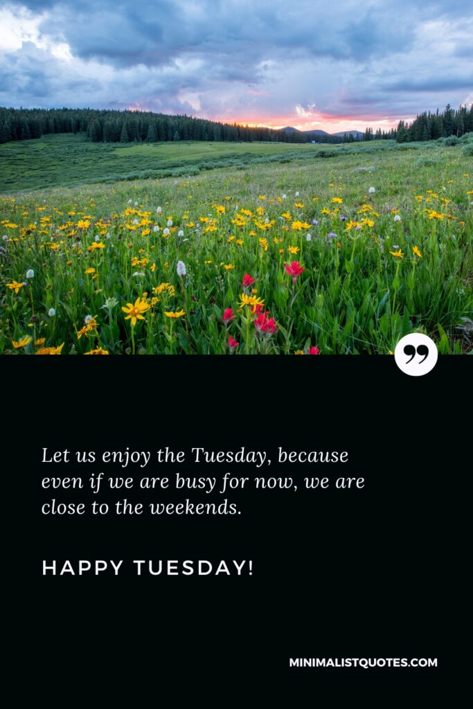 Happy Tuesday Thoughts: Let us enjoy the Tuesday, because even if we are busy for now, we are close to the weekends. Happy Tuesday!