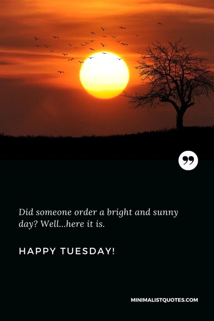 Happy Tuesday Wishes: Did someone order a bright and sunny day? Well…here it is. Happy Tuesday!