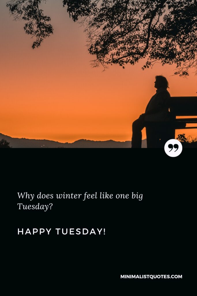 Happy Tuesday Wishes: Why does winter feel like one big Tuesday? Happy Tuesday!