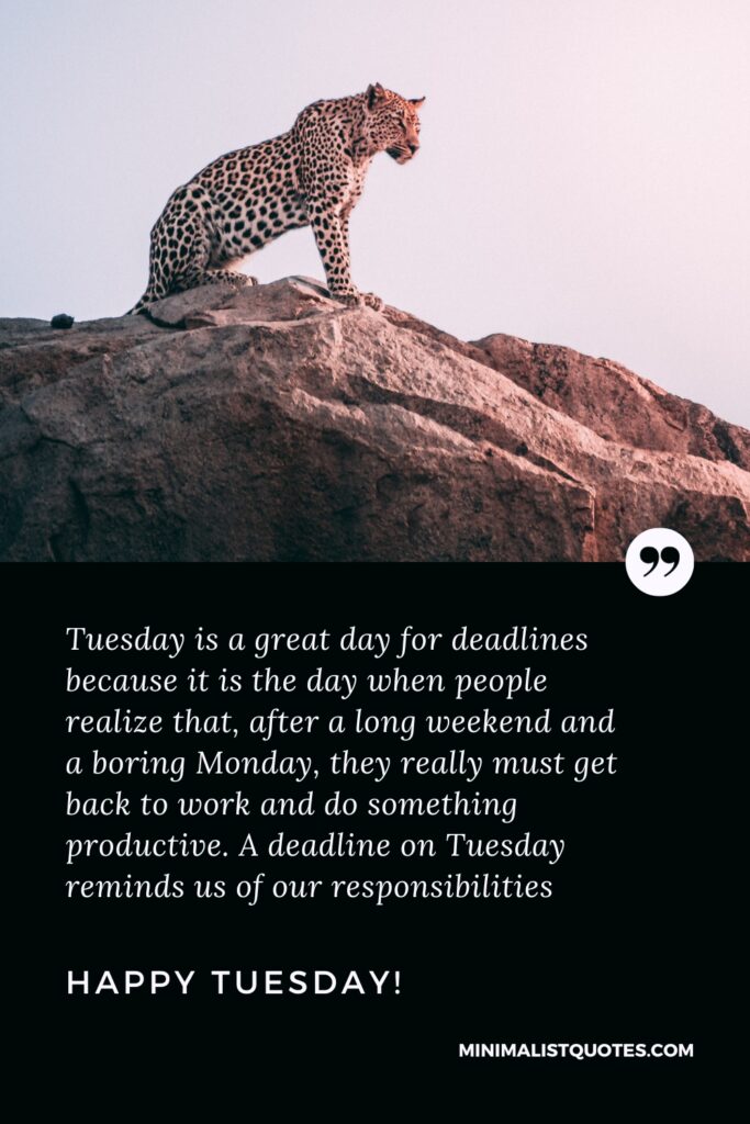 Happy Tuesday Wishes: Tuesday is a great day for deadlines because it is the day when people realize that, after a long weekend and a boring Monday, they really must get back to work and do something productive. A deadline on Tuesday reminds us of our responsibilities. Happy Tuesday!