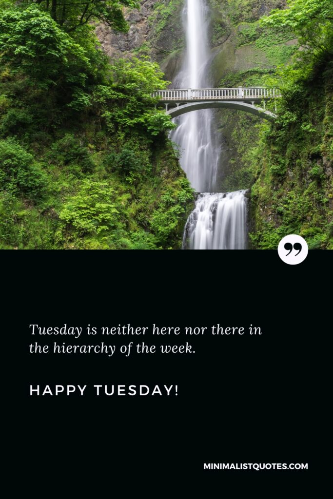 Happy Tuesday Wishes: Tuesday is neither here nor there in the hierarchy of the week. Happy Tuesday!