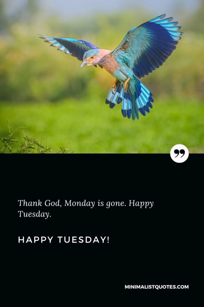 Happy Tuesday Wishes: Thank God, Monday is gone. Happy Tuesday!