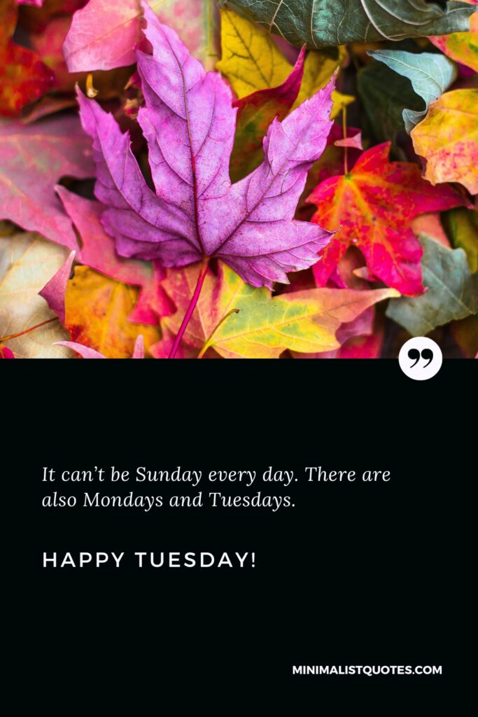 Happy Tuesday Wishes: It can’t be Sunday every day. There are also Mondays and Tuesdays. Happy Tuesday!