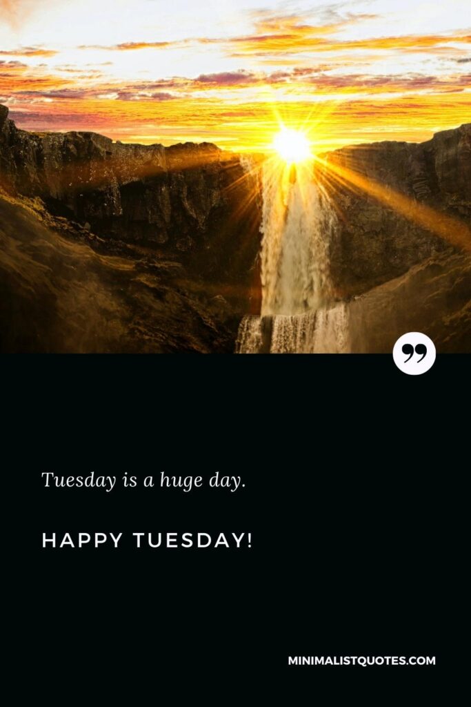 Happy Tuesday Wishes: Tuesday is a huge day. Happy Tuesday!