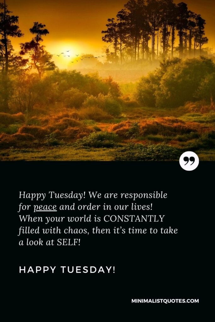 Happy Tuesday Wishes: Happy Tuesday! We are responsible for peace and order in our lives! When your world is CONSTANTLY filled with chaos, then it’s time to take a look at SELF! Happy Tuesday!