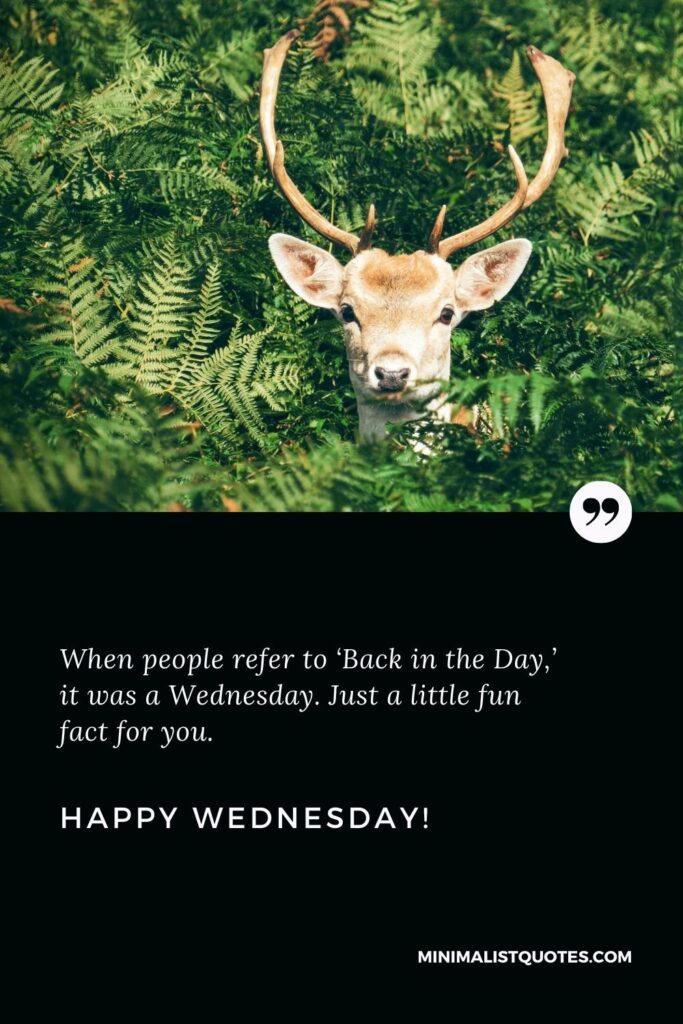Happy Wednesday Greetings: When people refer to ‘Back in the Day,’ it was a Wednesday. Just a little fun fact for you. Happy Wednesday!