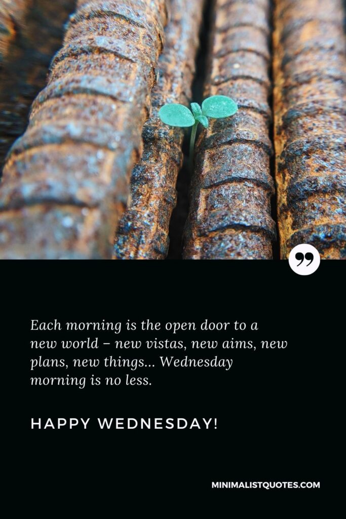 Happy Wednesday Greetings: Each morning is the open door to a new world – new vistas, new aims, new plans, new things… Wednesday morning is no less. Happy Wednesday!