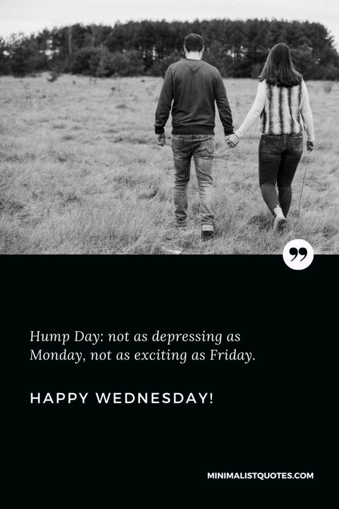Happy Wednesday Wishes: Hump Day: not as depressing as Monday, not as exciting as Friday. Happy Wednesday!
