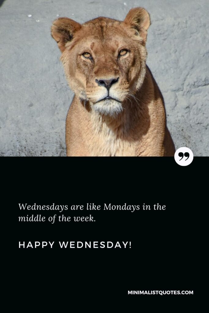 Happy Wednesday Wishes: Wednesdays are like Mondays in the middle of the week. Happy Wednesday!
