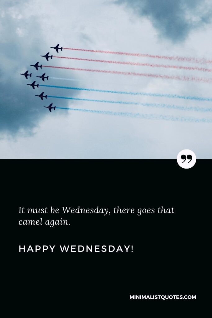 Happy Wednesday Wishes: It must be Wednesday, there goes that camel again. Happy Wednesday!