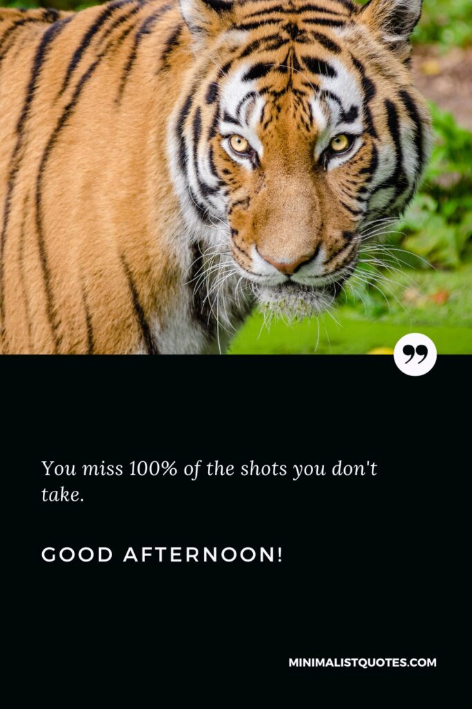 Good Afternoon Quotes: You miss 100% of the shots you don't take. Good Afternoon!