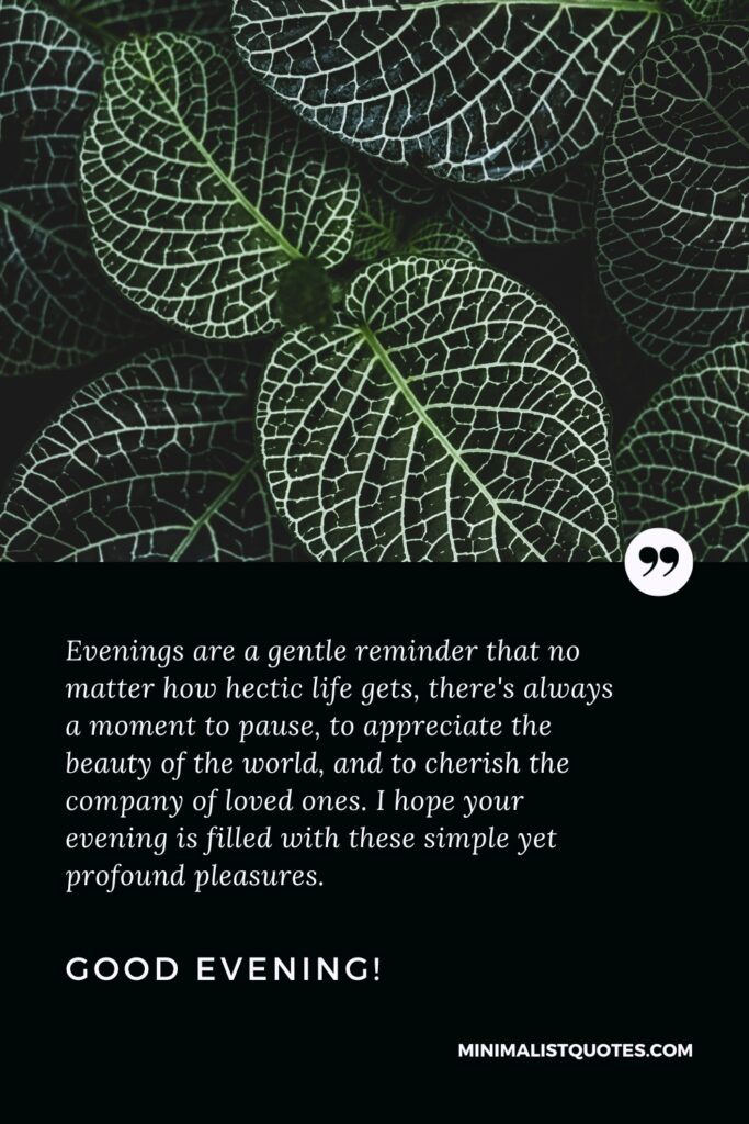 Good Evening Thoughts: Evenings are a gentle reminder that no matter how hectic life gets, there's always a moment to pause, to appreciate the beauty of the world, and to cherish the company of loved ones. I hope your evening is filled with these simple yet profound pleasures. Good Evening!