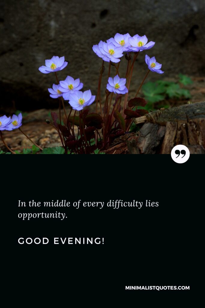 Good Evening Thoughts: In the middle of every difficulty lies opportunity. Good Evening!