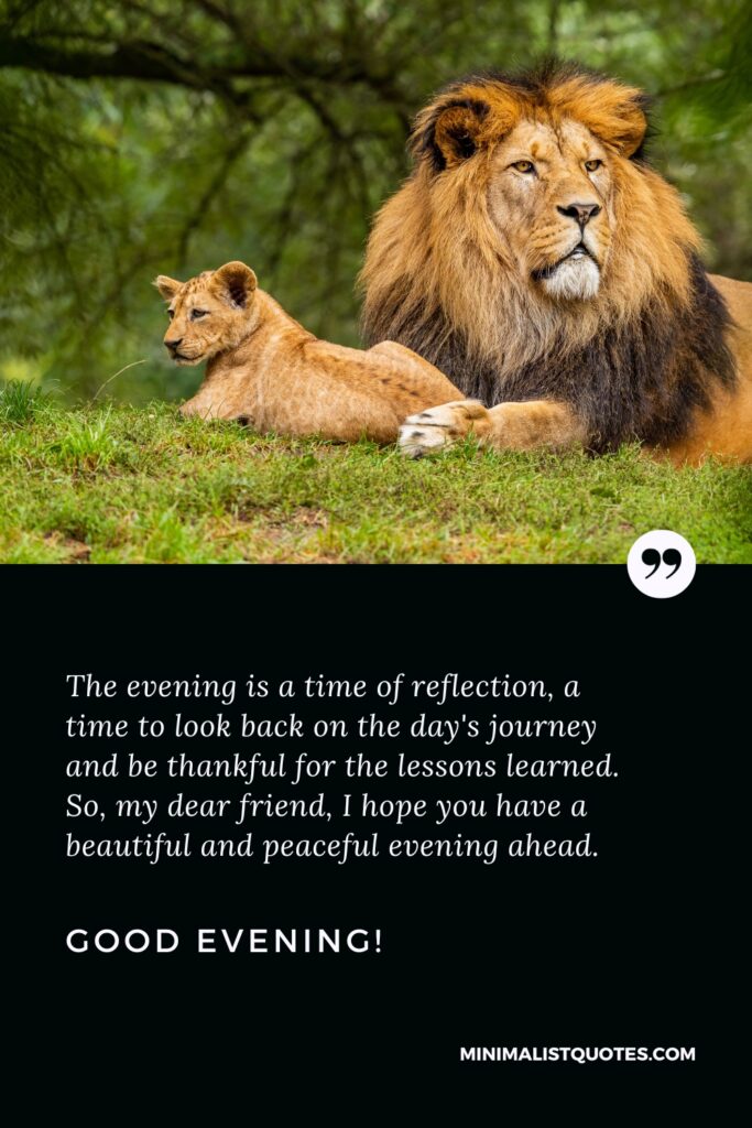 Good Evening Wishes: The evening is a time of reflection, a time to look back on the day's journey and be thankful for the lessons learned. So, my dear friend, I hope you have a beautiful and peaceful evening ahead. Good Evening!