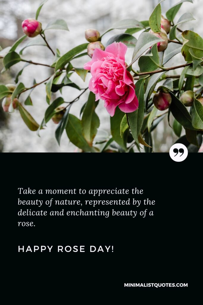 Happy Rose Day Quotes: Take a moment to appreciate the beauty of nature, represented by the delicate and enchanting beauty of a rose. Happy Rose Day!