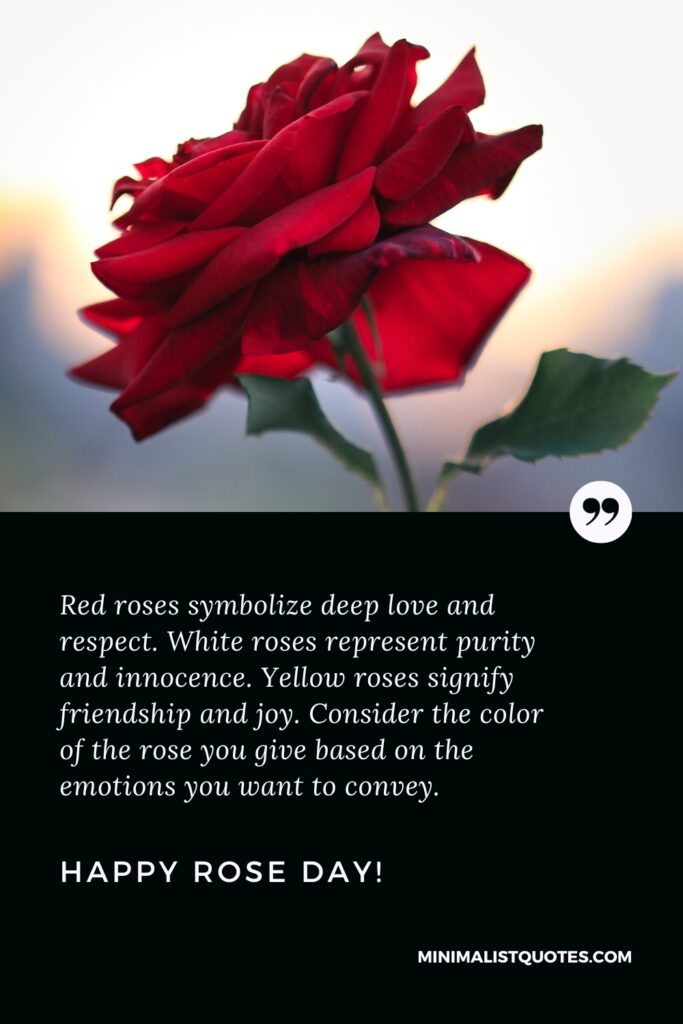 Happy Rose Day Quotes: Red roses symbolize deep love and respect. White roses represent purity and innocence. Yellow roses signify friendship and joy. Consider the color of the rose you give based on the emotions you want to convey. Happy Rose Day!